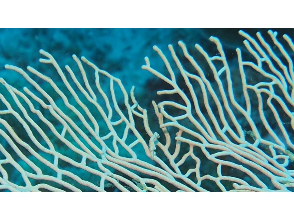 PN160346 - Version 2 PN160346 - Version 2